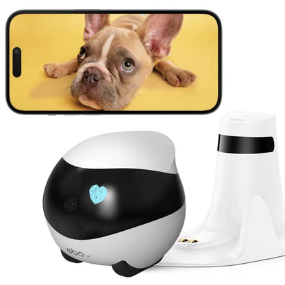 Remote Camera Robot